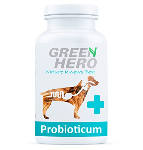 Green Hero Probiotika Für Hunde