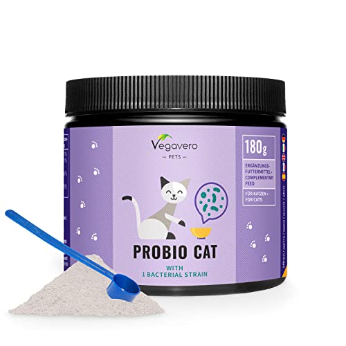 Vegavero Probiotikum Für Katzen