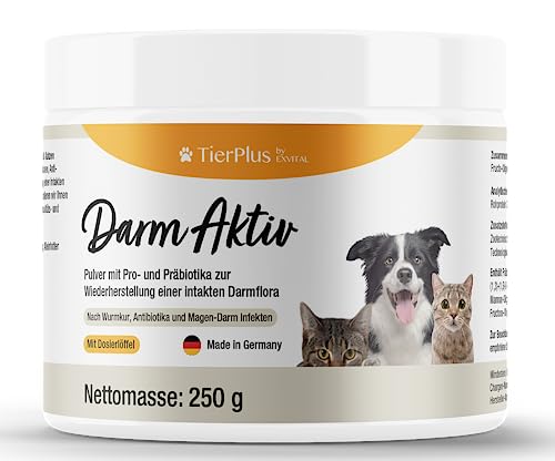 Exvital Probiotikum Für Katzen